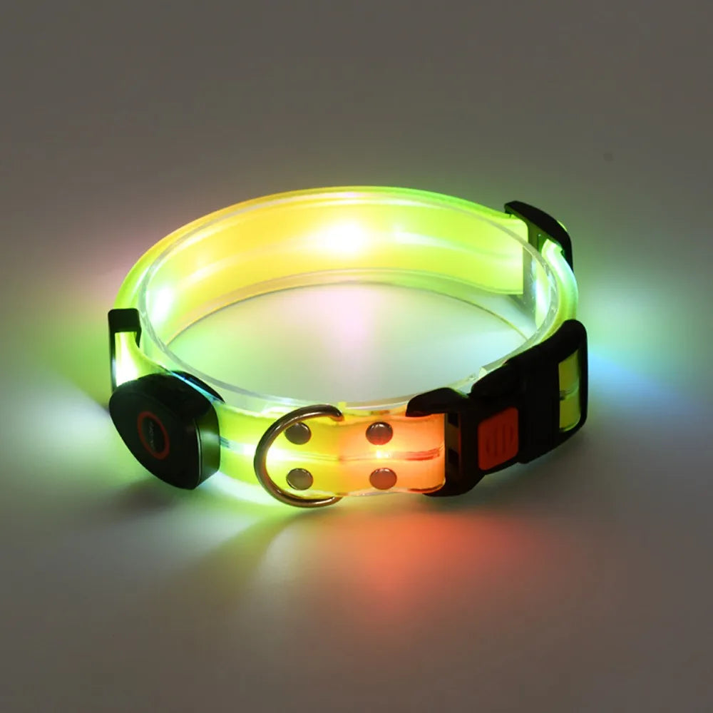 Collier lumineux pour chien | NightGuard