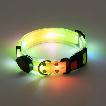 Collier lumineux pour chien | NightGuard