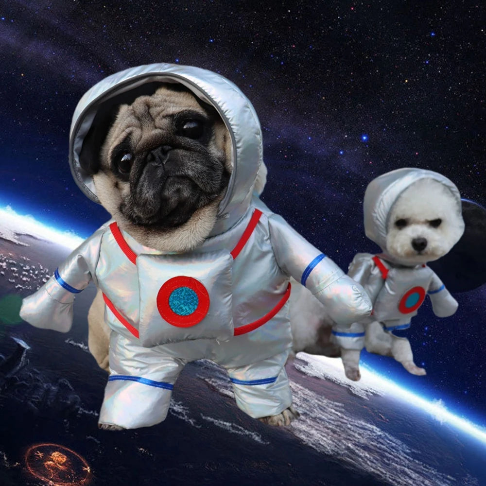 Déguisement chien- 3D Rigolos (16 modèles)