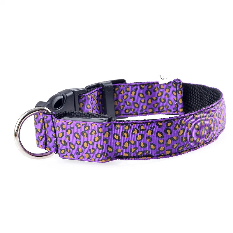Collier chien lumineux-Léopard LED