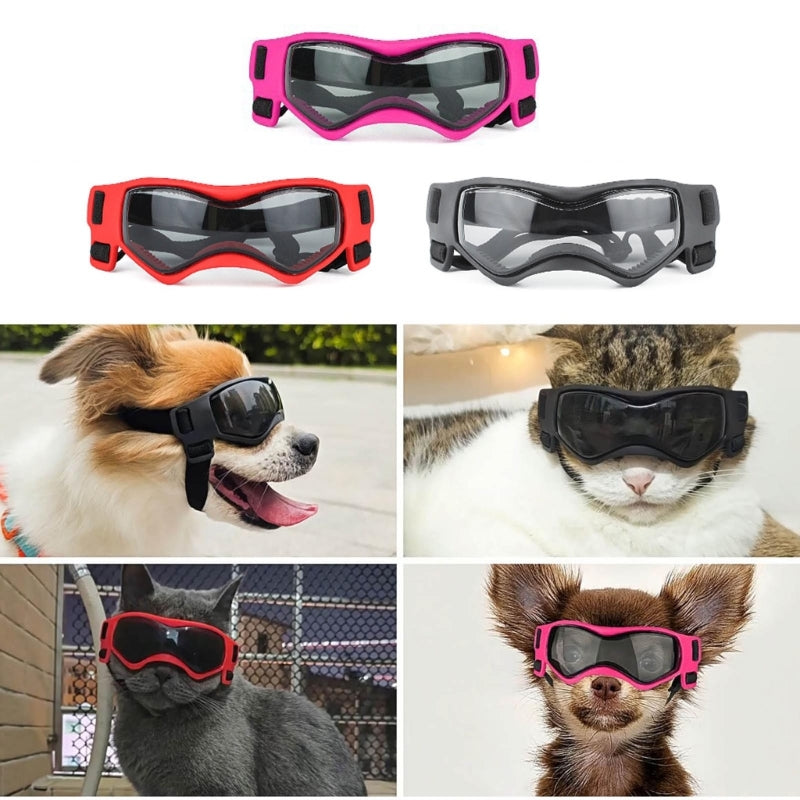 Lunettes pour chien | Protection UV Style