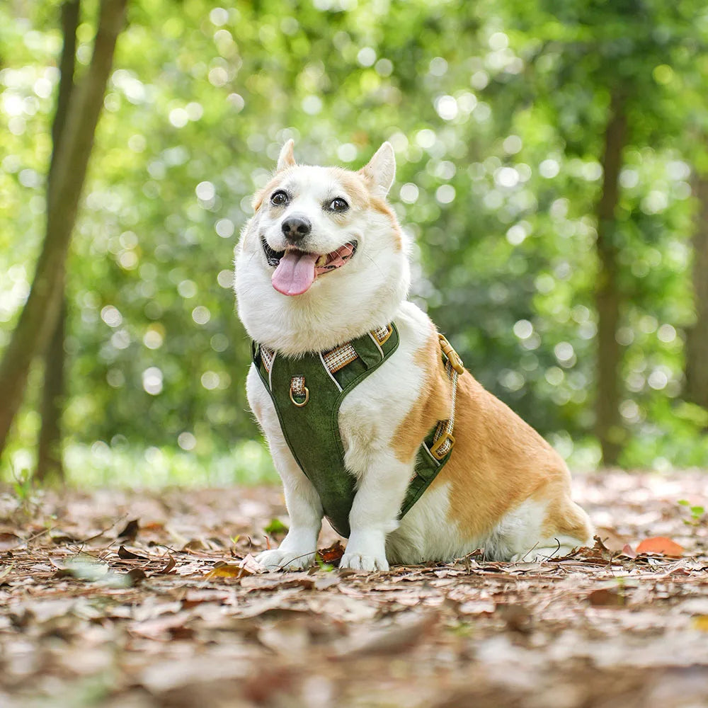 Harnais chien-Waterproof PU