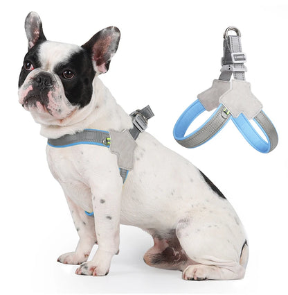 Harnais chien anti traction- Holapet