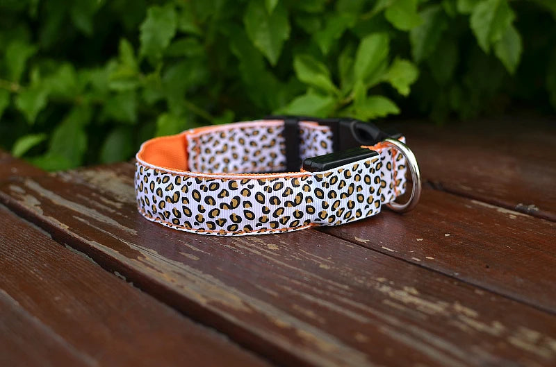 Collier chien lumineux-Léopard LED