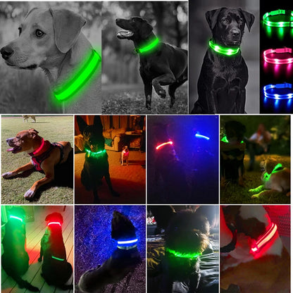 Collier lumineux chien- COOYOMOO