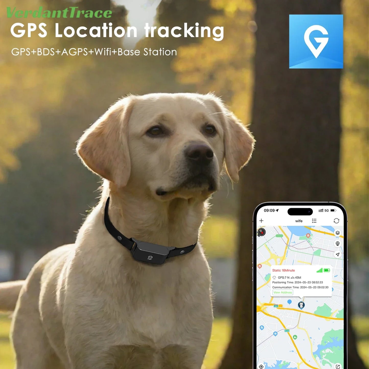 Collier gps chien- IP67 Waterproof 4G GPS