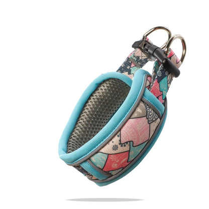 Collier de dressage pour chien- Confortable Extensible