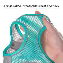 Harnais chiot | Comfort Secure