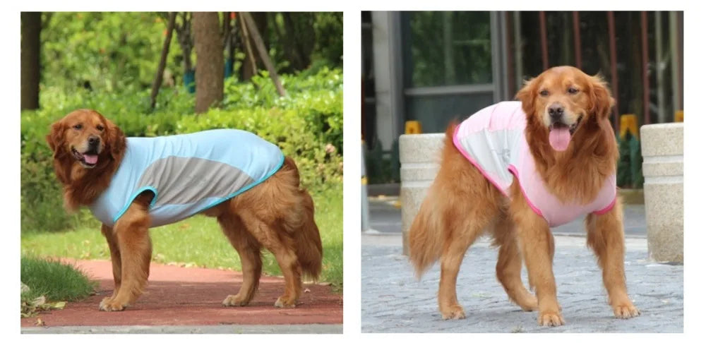 veste chien | Rafraîchissante Anti-UV