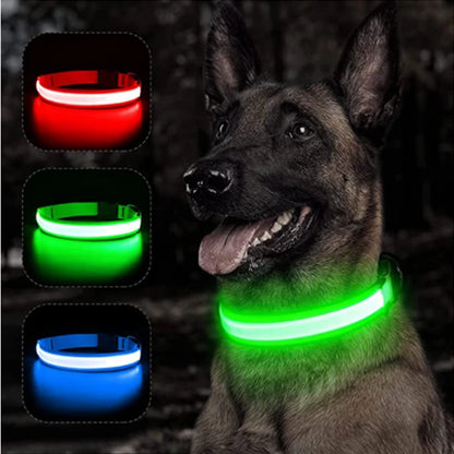 Collier lumineux chien- COOYOMOO