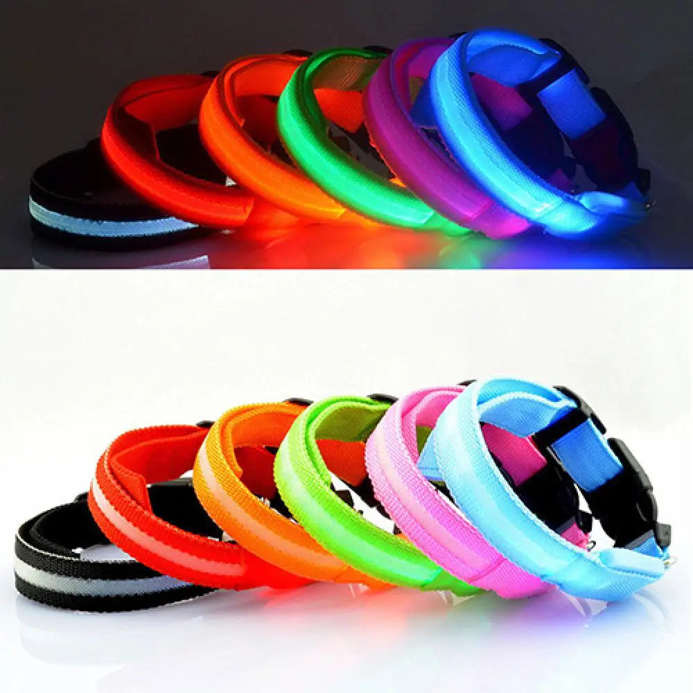 Collier Chien LEDCollarDog™