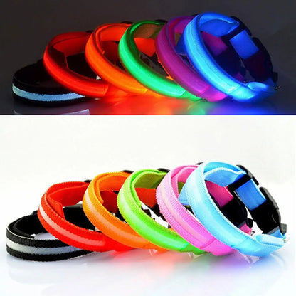Collier Chien LEDCollarDog™