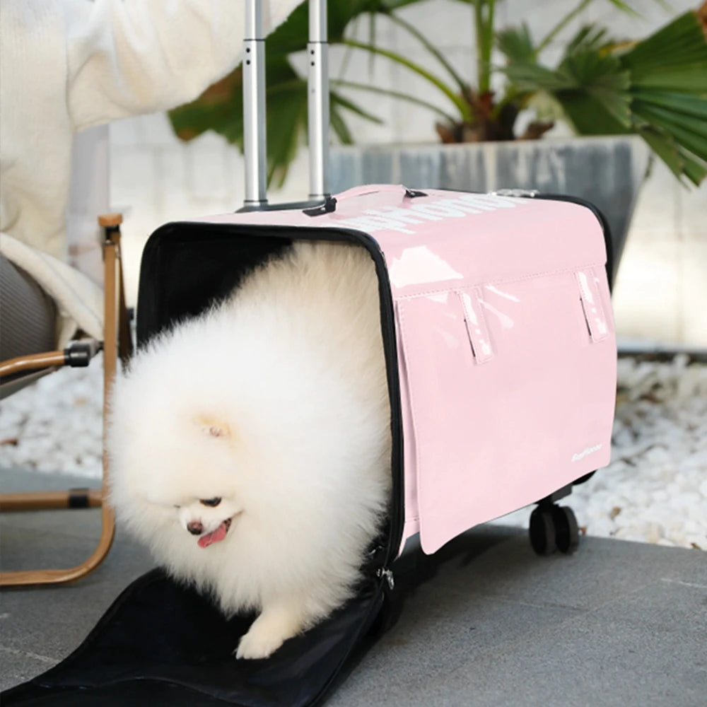 Cage chien- 4 Universal Wheels  Suitcase