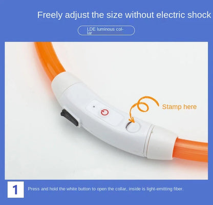 Collier lumineux chien- COOYOMOO