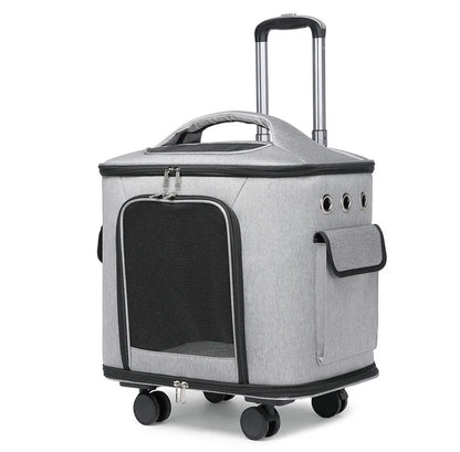 Caisse de transport chien- Suitcase Portable Travel