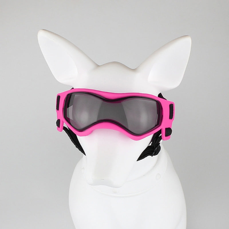 Lunettes pour chien | Protection UV Style