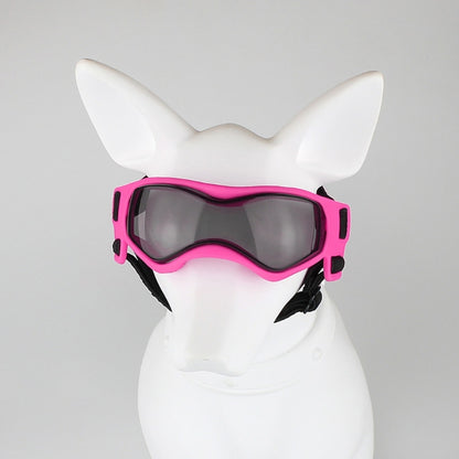 Lunettes pour chien | Protection UV Style