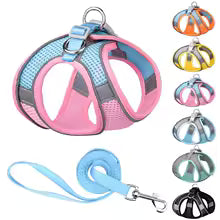 Harnais chiot | Comfort Secure