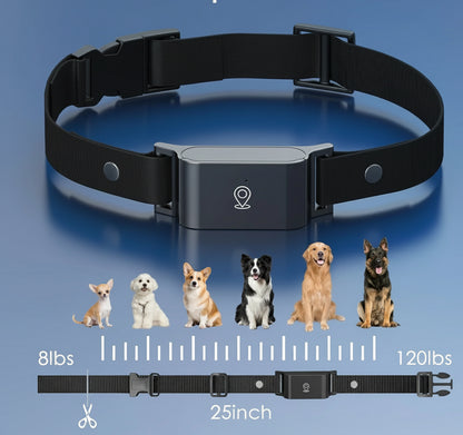 Collier gps chien- IP67 Waterproof 4G GPS