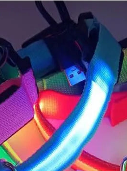 Harnais chien anti traction | Lumineux LED