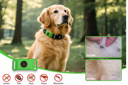 Collier anti puce chien | Naturel 45 jours
