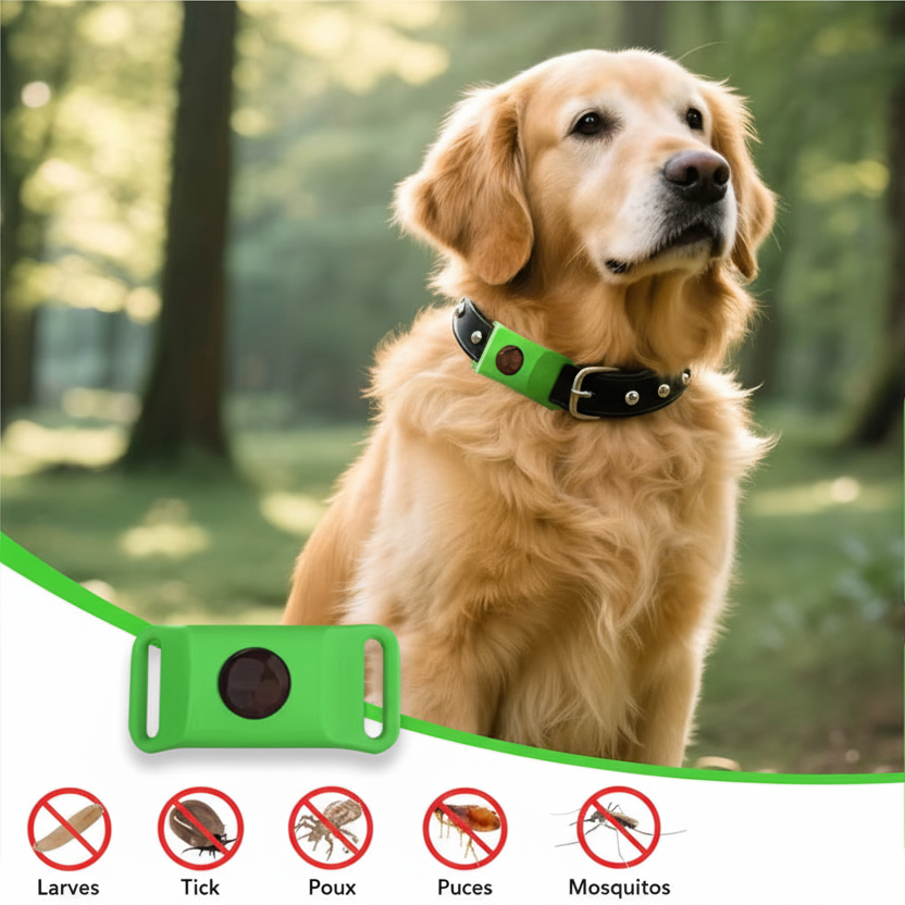 Collier anti puce chien | Naturel 45 jours