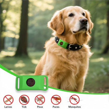 Collier anti puce chien | Naturel 45 jours