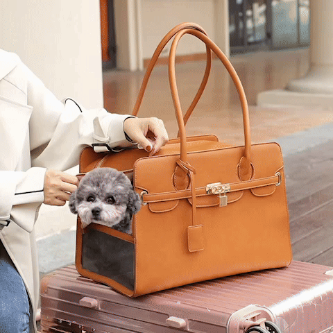 Sac de transport pour chien