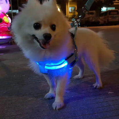 Harnais chien anti traction | Lumineux LED