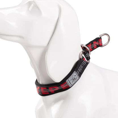 Collier de dressage pour chien- TRUELOVE P-chain