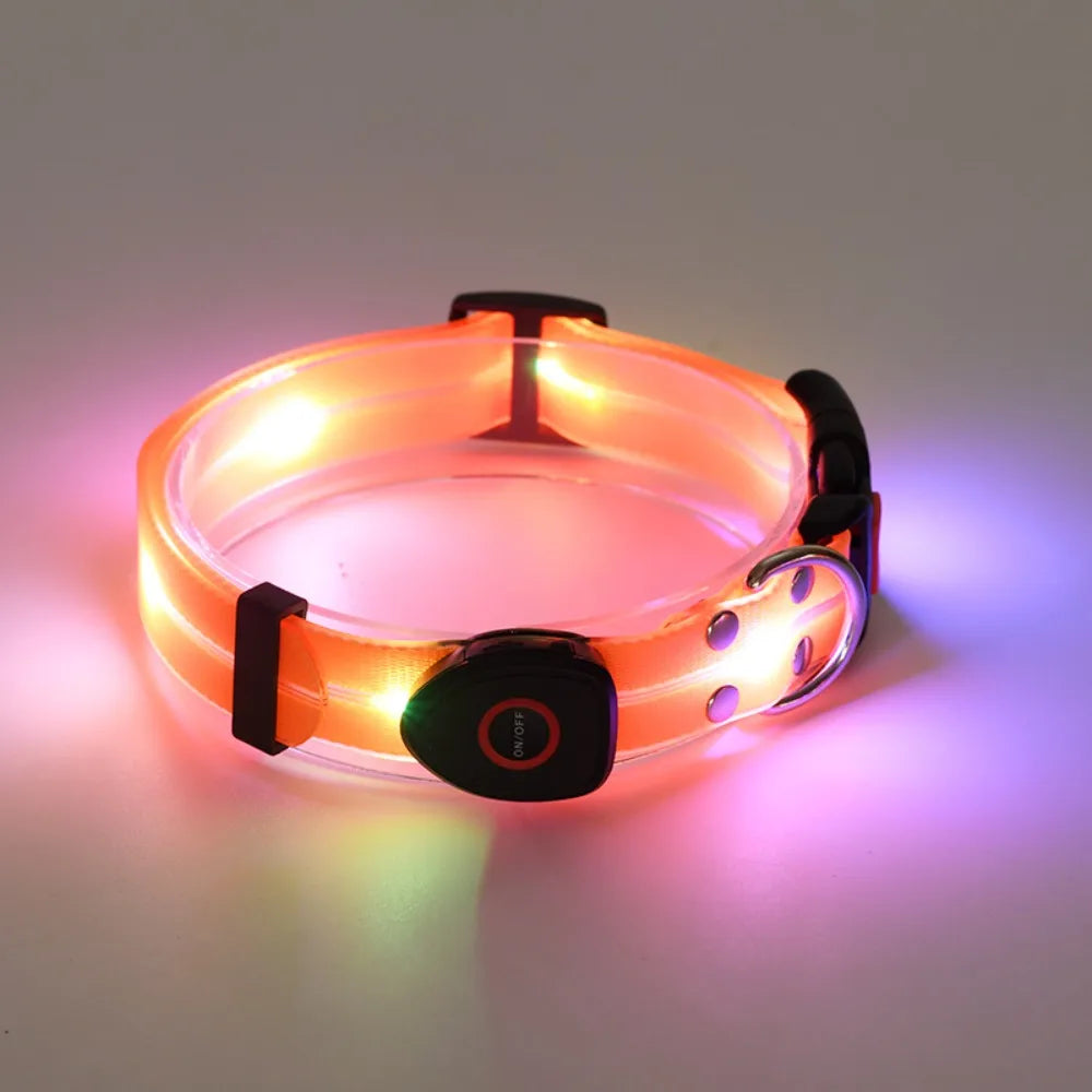 Collier lumineux pour chien | NightGuard