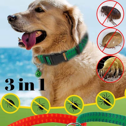 Collier anti puce chien | Protection Confort Rouge