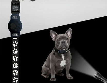 Collier GPS pour chien | PetTracker