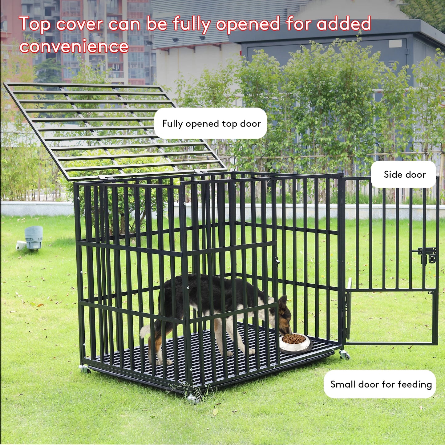 Cage chien- 3 portes Roulante