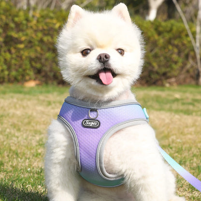 Harnais chien- Supet