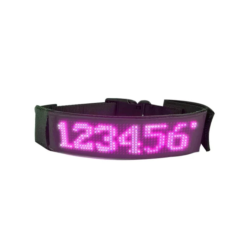 Chien collier lumineux | SafePet
