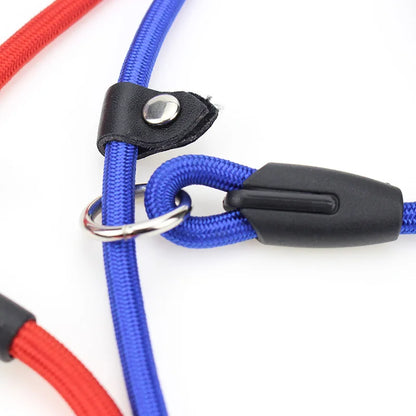Laisse pour chien- Dog Strap Rope