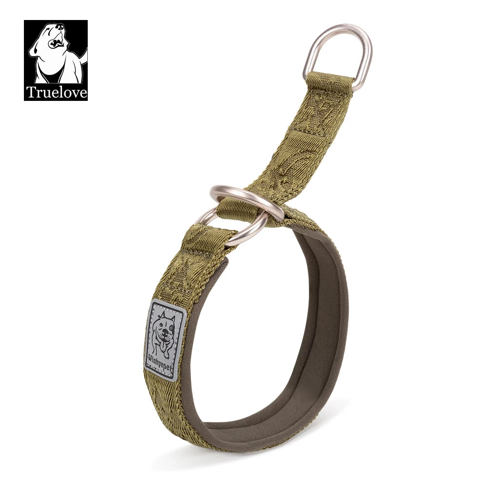 Collier de dressage pour chien- TRUELOVE P-chain