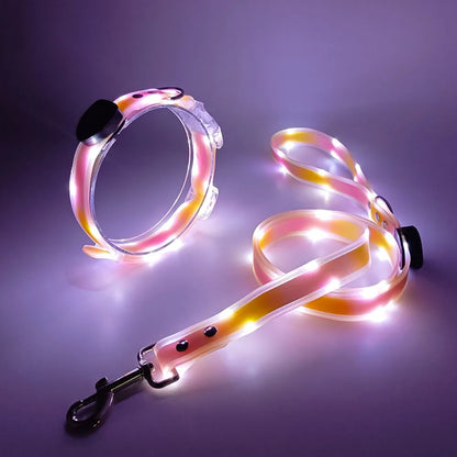 Collier lumineux pour chien | NightGuard