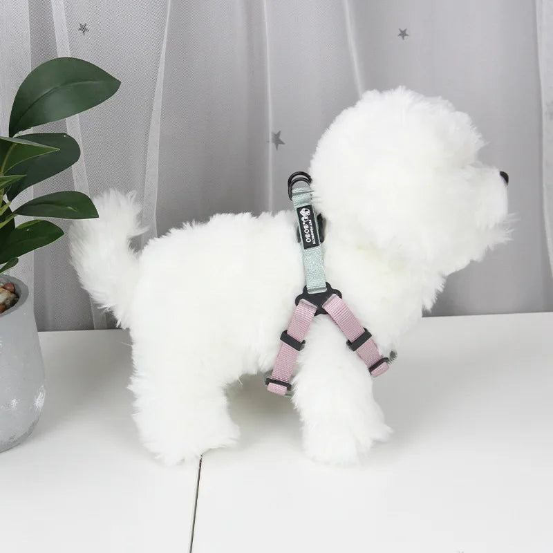 Harnais chien- KOMMILIFE Harness Leash Set