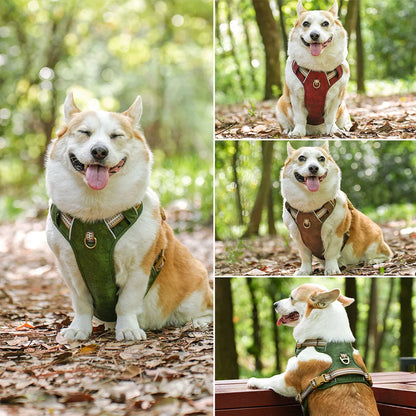 Harnais chien-Waterproof PU