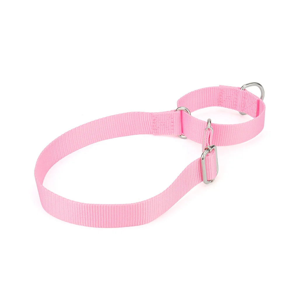Collier de dressage pour chien- Martingale Plus