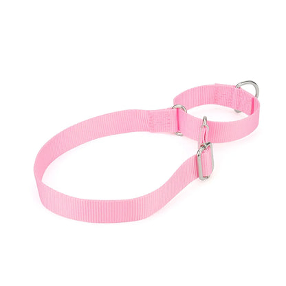 Collier de dressage pour chien- Martingale Plus