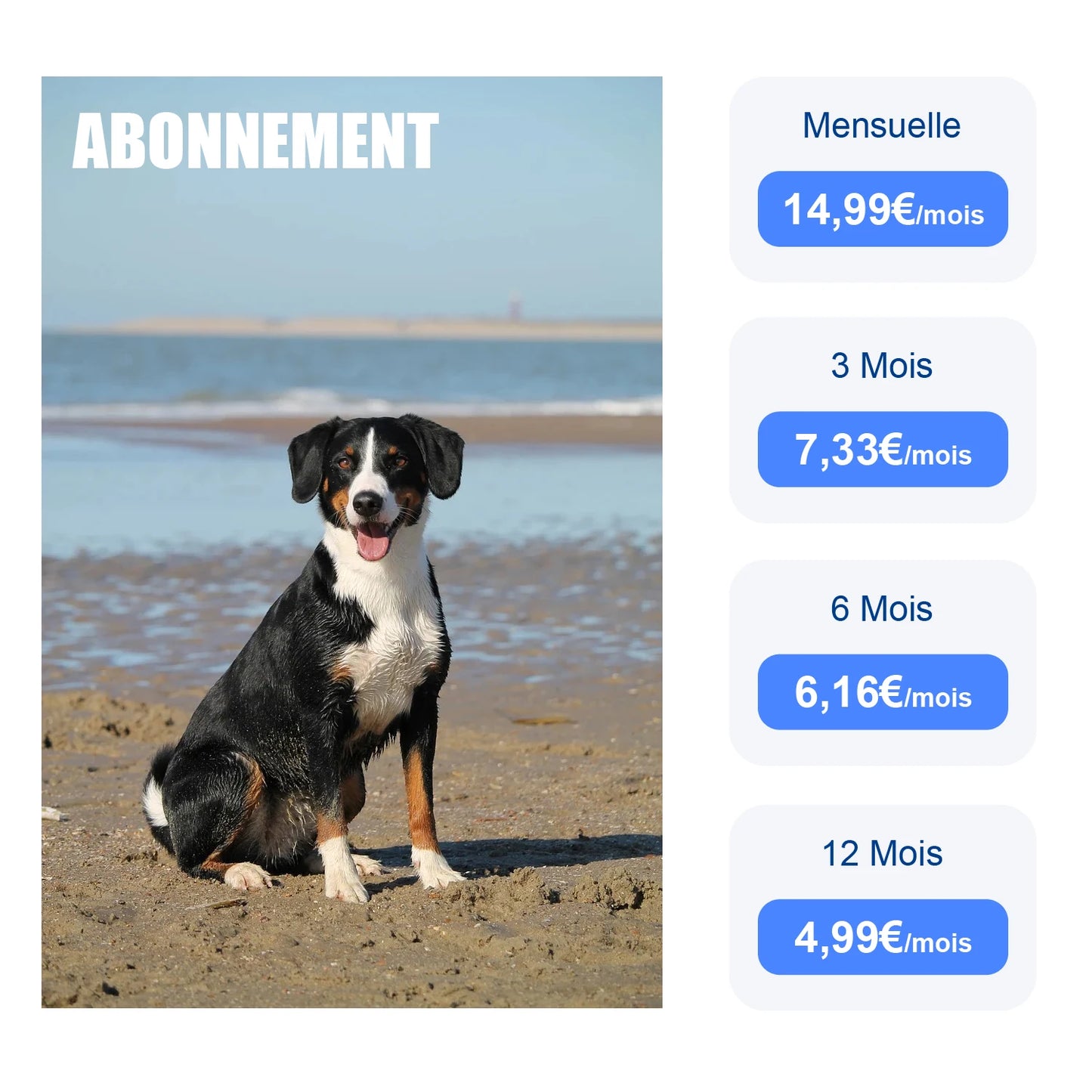gps pour chien- Location anti perte
