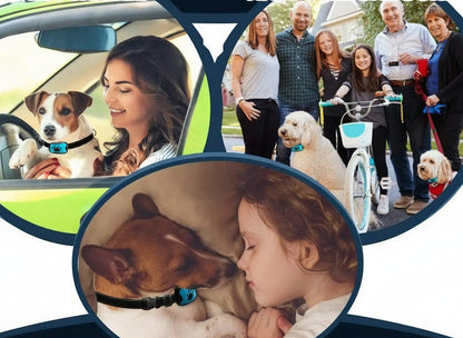 Collier de dressage pour chien- Vibration Anti Bark