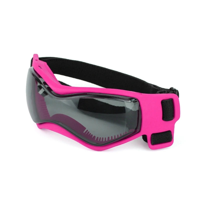Lunettes pour chien | Protection UV Style