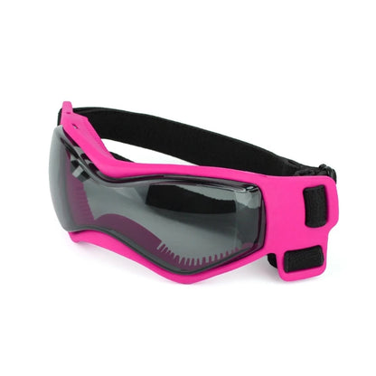 Lunettes pour chien | Protection UV Style