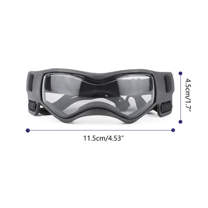 Lunettes pour chien | Protection UV Style