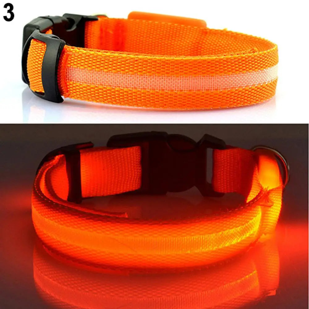 Collier Chien LEDCollarDog™