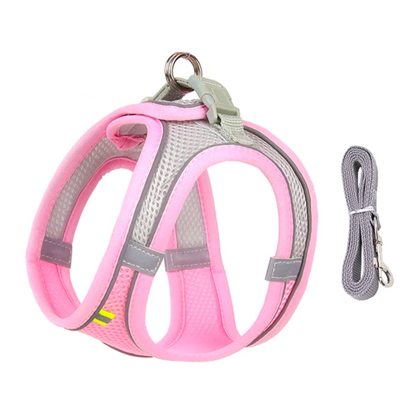 Harnais chien- CDDMPET Set Outdoor